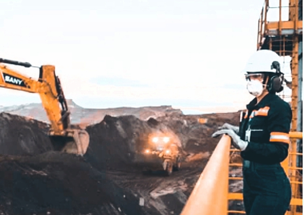 Environmental DNA and the Question of Trust in Mine Rehabilitation