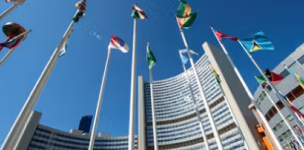 Global Nuclear Watchdog Backs Rwanda's $6bn First Reactor by 2030s