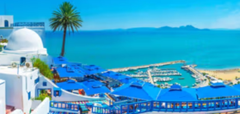 Tunisia's Foreign Investments Jump 30% to $1.2 Billion Following Reforms