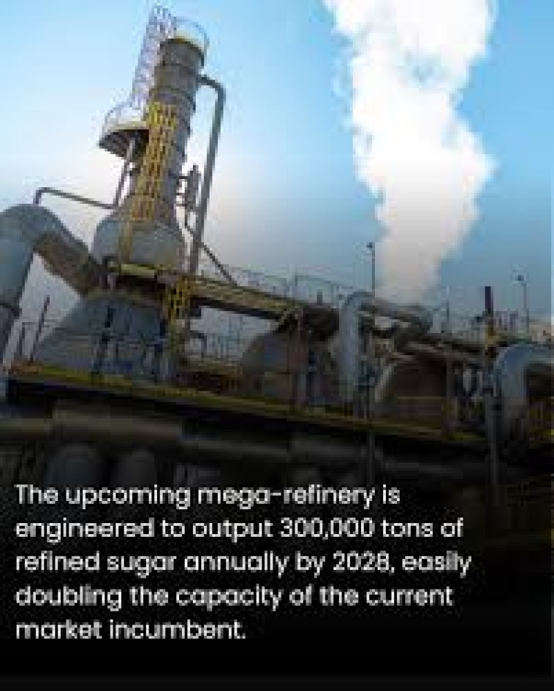 French Firm Behind  World's Largest Floating Gas Plant  Building Africa's LNG Mega-projects