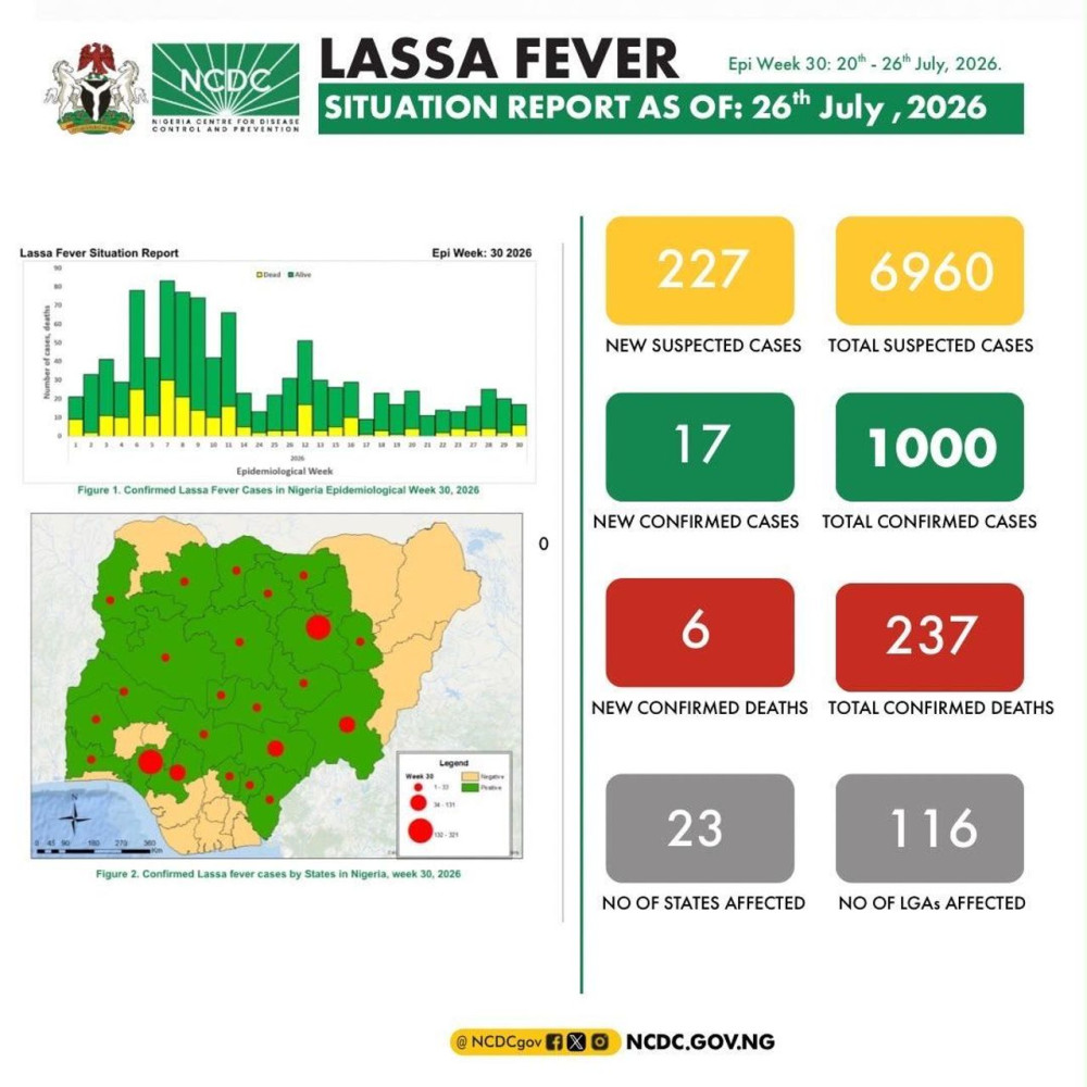 Three States Account for Nearly Two-thirds of Lassa fever Fatalities as 2026  Toll Hits 237