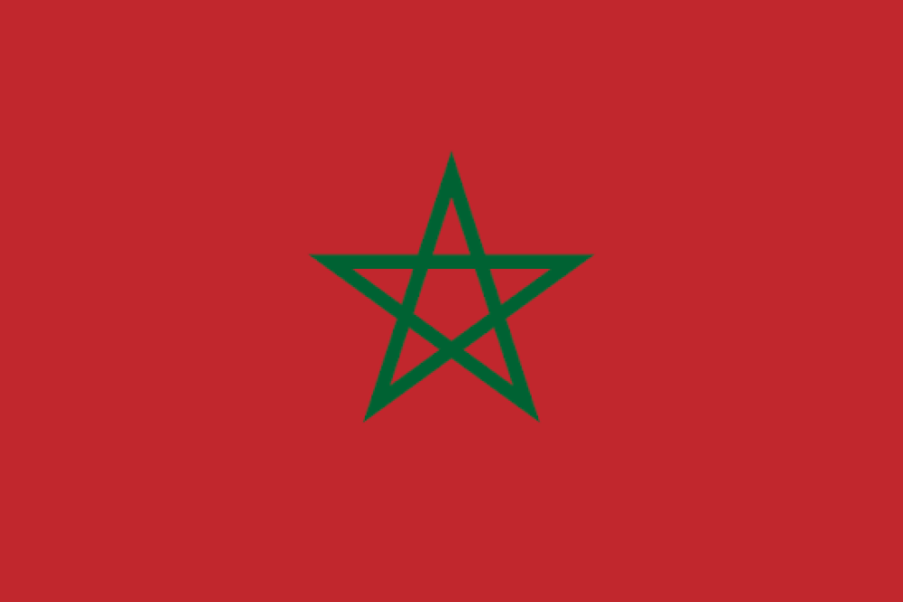 Morocco orders Dutch maritime drones in $14.7m naval defence deal