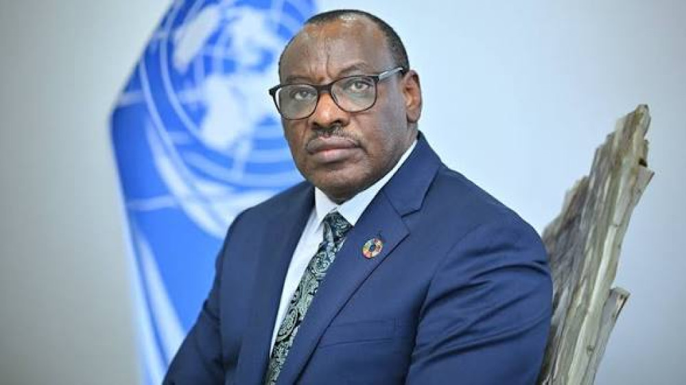 Emulate  Zimbabwe Lithium Ban Model, Process Minerals Locally, UN, ECA Urges SADC