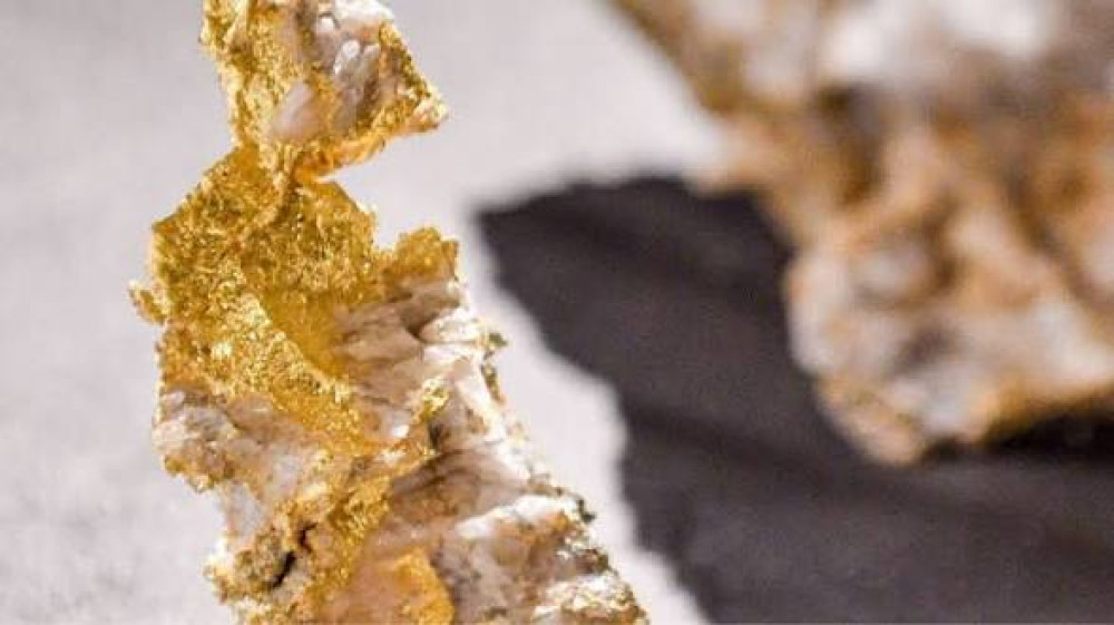 Gold Fields Presses On With Northern Star Pursuit After Rejection, Eyes Roadshow to Win Over Investors