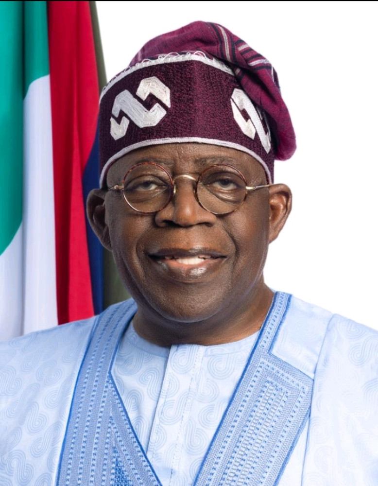 **How Tinubu Is Combating Disguised Unemployment Through Transparent Hiring**
